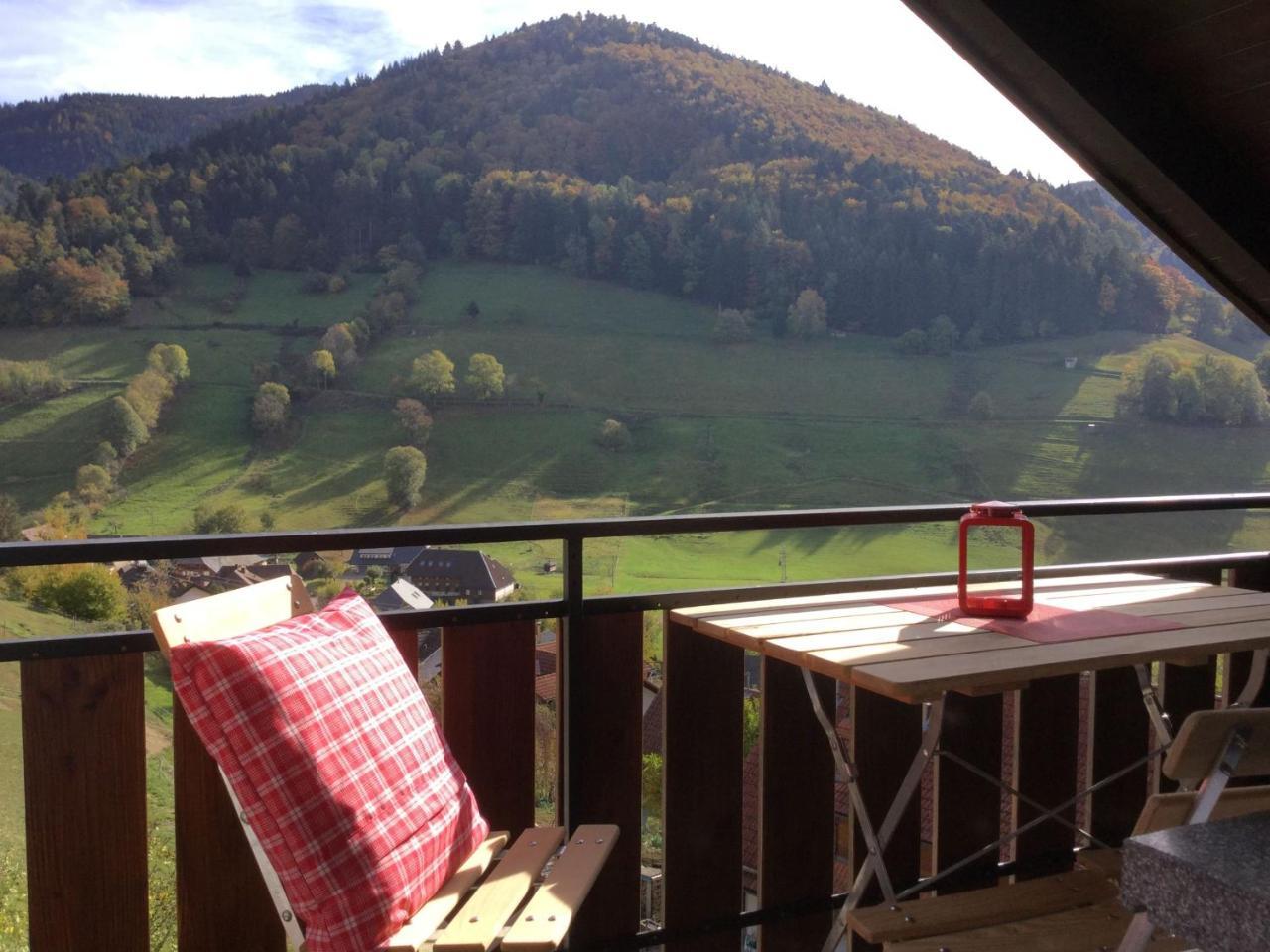 Erikas Haus Apartment Muenstertal Bagian luar foto