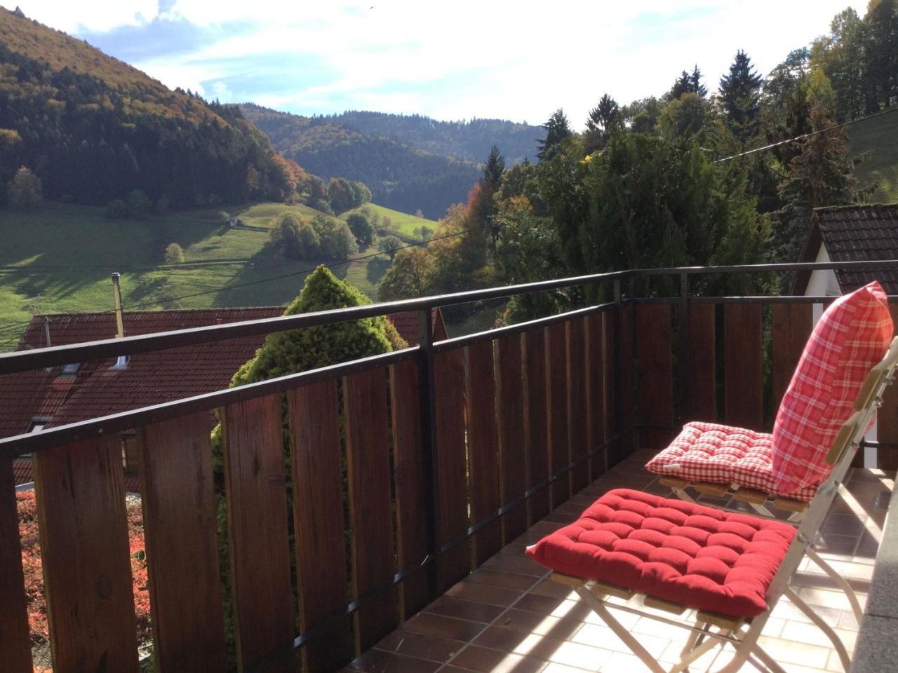 Erikas Haus Apartment Muenstertal Bagian luar foto