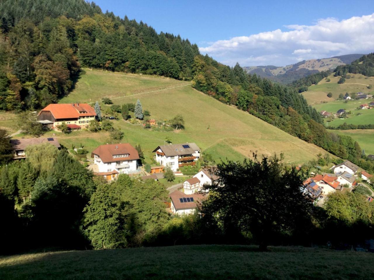 Erikas Haus Apartment Muenstertal Bagian luar foto