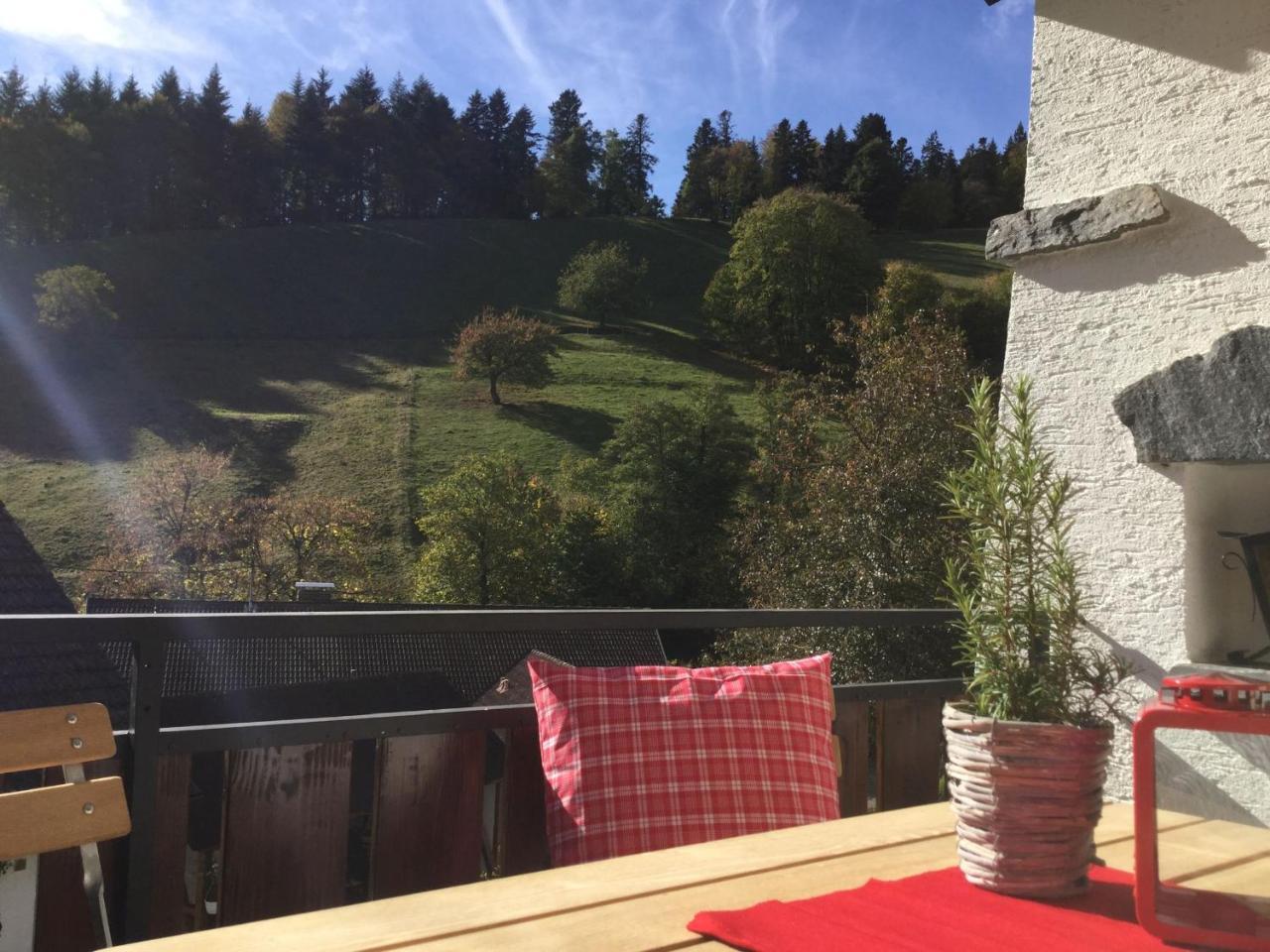 Erikas Haus Apartment Muenstertal Bagian luar foto