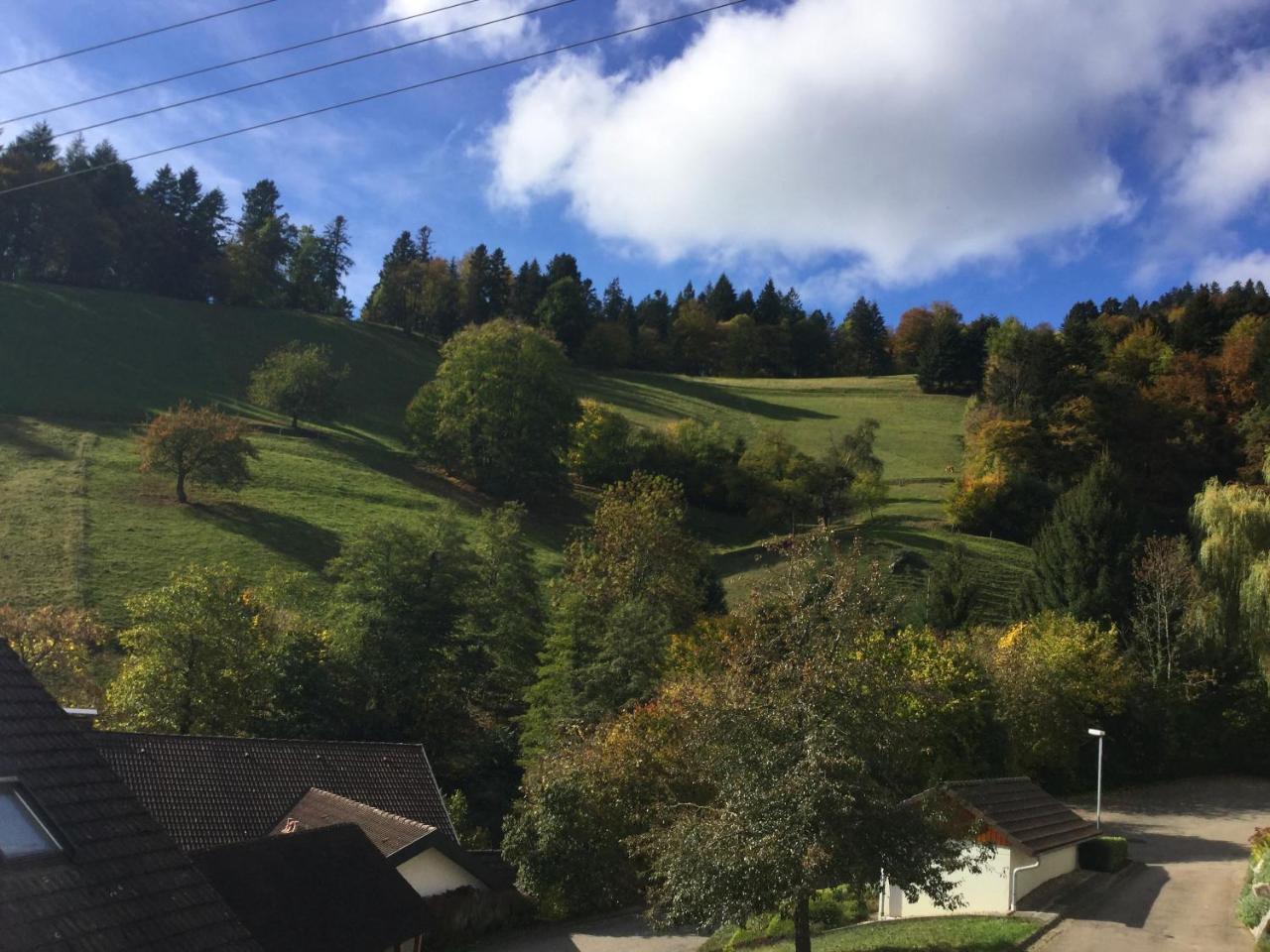 Erikas Haus Apartment Muenstertal Bagian luar foto