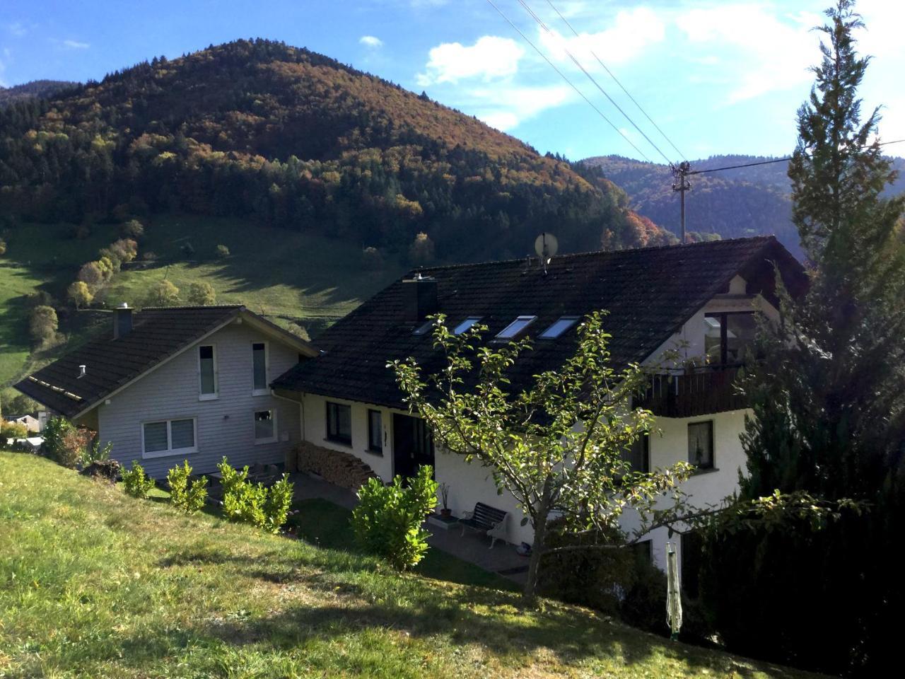 Erikas Haus Apartment Muenstertal Bagian luar foto