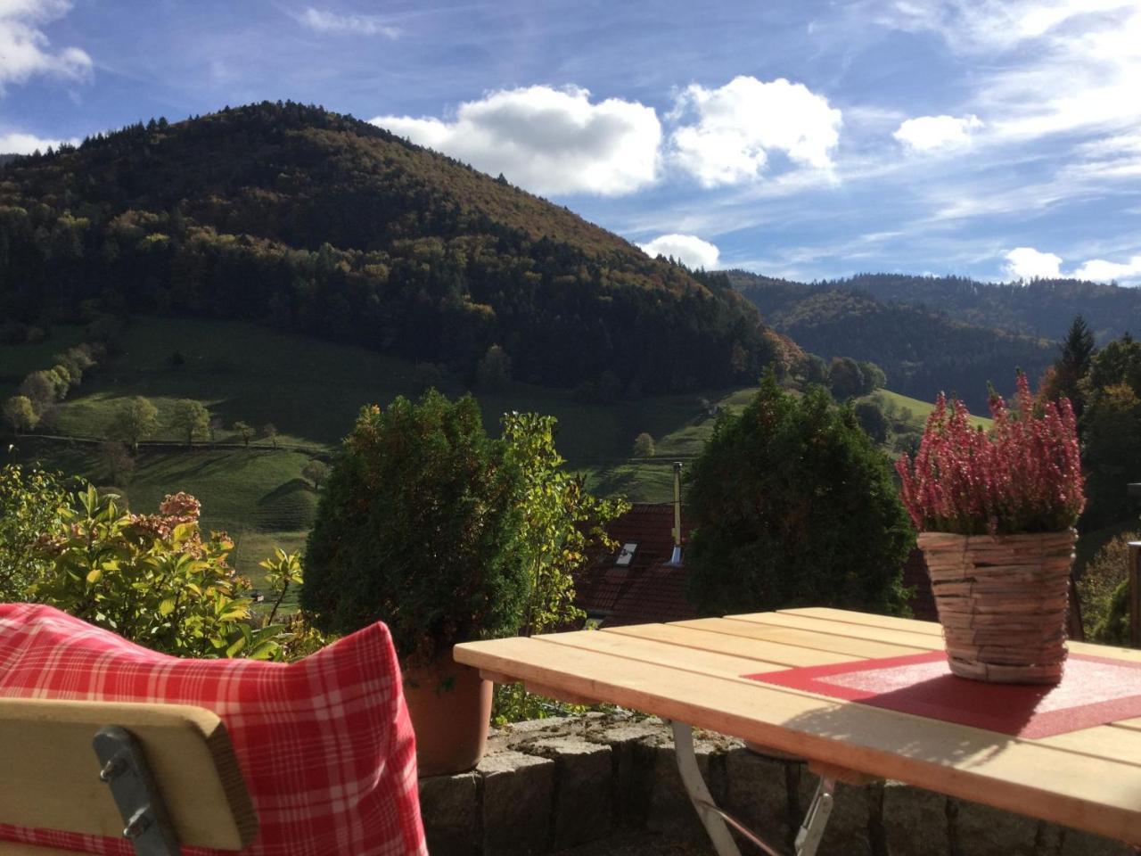 Erikas Haus Apartment Muenstertal Bagian luar foto
